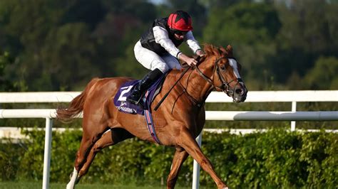 Ascot Gold Cup odds: Kyprios 10/11 to win for a second time.